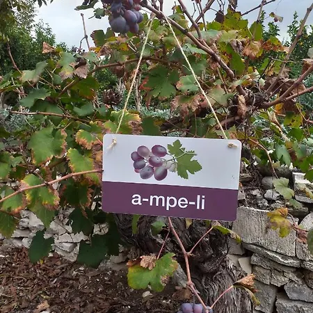 Kalypso View * Letimbou