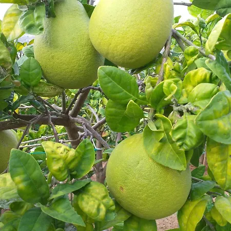 Kalypso View Apartament