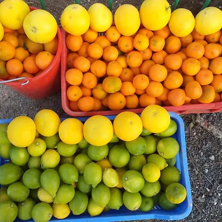 Kalypso View Апартаменты *