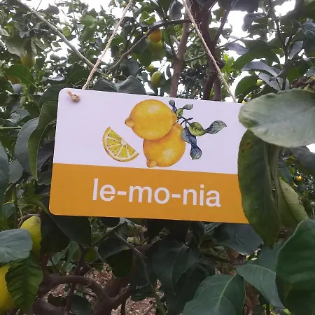 Kalypso View Апартаменты Letimbou