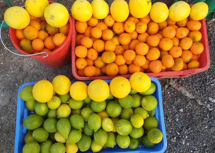 Kalypso View Apartment *